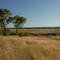 Chico Foothills 07/06
