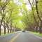 Calistoga Highway