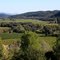 Napa Valley from Sterling Winery, California