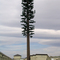 Cell phone tree