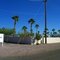 Motorhomes, and Palm Trees