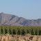 Mountains and fields north of Bethany Home Road