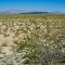 To the northwest on the Tonopah Desert, west of Phoenix, AZ