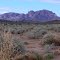 Tonopah, Arizona