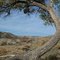 Near Gorman, CA:  View N, Near the Former Caswell's Auto Camp , Stream Course, 2011