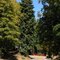 Autumm on Palomar