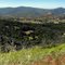 La Jolla Amago Tribal Lands