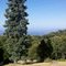 Palomar Mountain