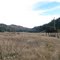 Doane Pond, Palomar Mountain, CA