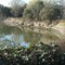 San Joaquin River Erosion