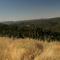 Morgan Valley Road