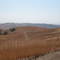 Miles of Mountain Biking in Chino Hills