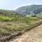 Chino Hills State Park - Bane Canyon