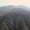Angeles National Forest