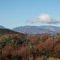 Cobblestone & White Mtns