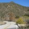 Lake Hughes Road east of Lake Castaic