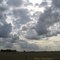 Jepson Prairie Sky
