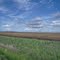 Dixon Clouds