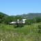 Blue Lakes Farm CA