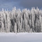 Steamboat Clearing