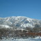 Steamboat