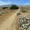 USA, Pacific Crest Trail, mile 0537.1 Section E, Neenach Canyon, 2011