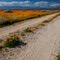 Poppy Road