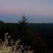 Sunset at the summit - Bear Creek Rd