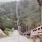 Coast Dairies Conveyor Belt
