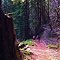Fall Creek Park, Felton, CA