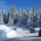 Fresh Snow