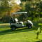Golf Cart
