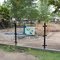 La Brea Tar Pits