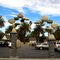 Fantastic Stones - Wilshire Boulevard