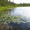 Base Lake (Highland State Recreation Area)