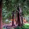 Serra Park