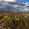 Springtime in Southern California