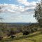 View of Sutter Buttes