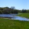 Fishin' Hole