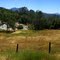 Summer Day