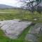 Pasture on Millerton Road (View Northerly)