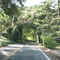 Silverado Canyon Road