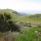 Loma Ridge