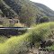 Williams Canyon