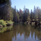 Calm river into the lake