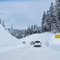 Fresh Snow