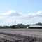 Potato Land