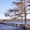 St Johns river, looking northeast from Federal Point (12-2008)