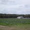 Field near Hastings, FL