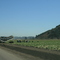 Field Workers